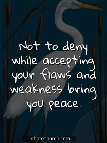 peace kindness quotes